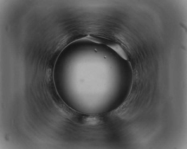 X0000091480171200708231408