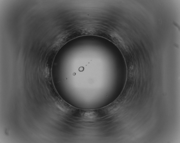 X0000091480173200708231408