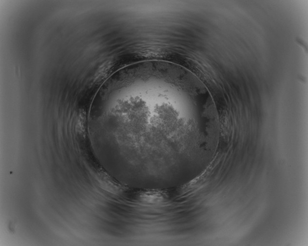 X0000091480175200708231408