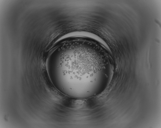 X0000091480176200708231408