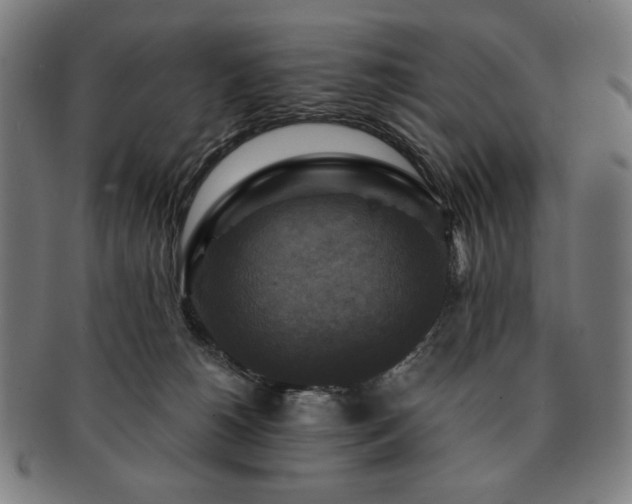 X0000091480180200708231408