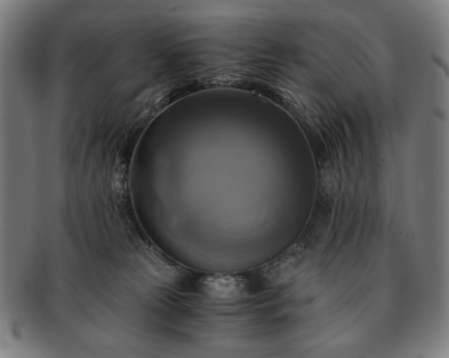 X0000091480181200708231408