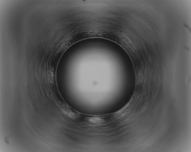 X0000091480183200708231408