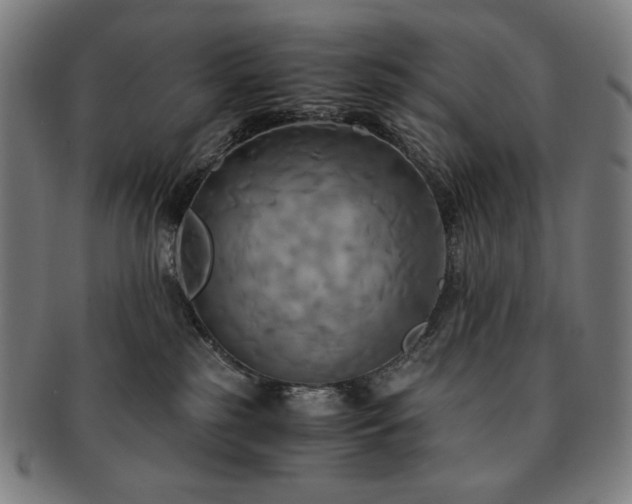 X0000091480185200708231408