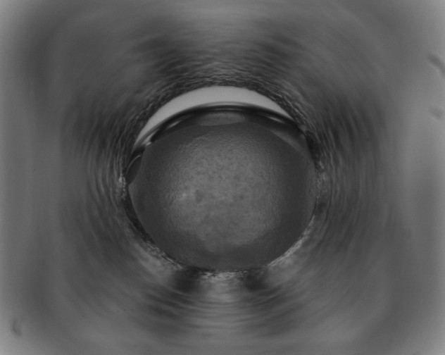 X0000091480186200708231408