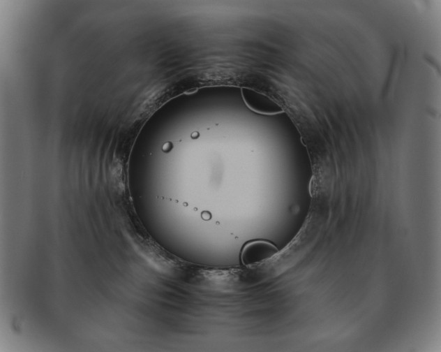 X0000091480187200708231408