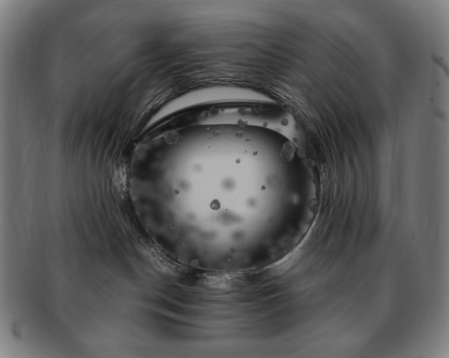 X0000091480190200708231408