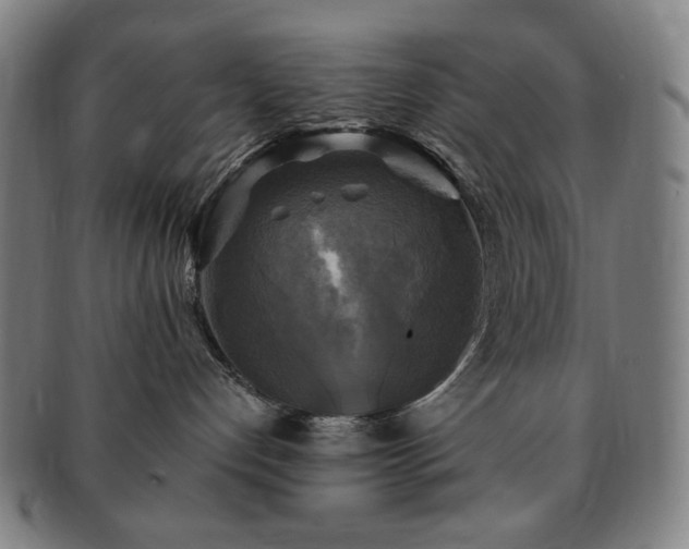 X0000091480192200708231408