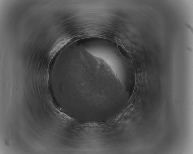 X0000091480194200708231407