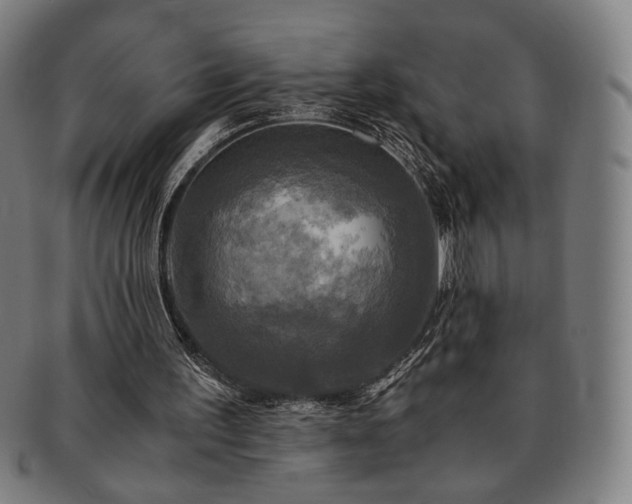 X0000091480195200708231407