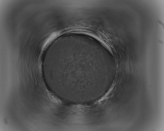 X0000091480197200708231407