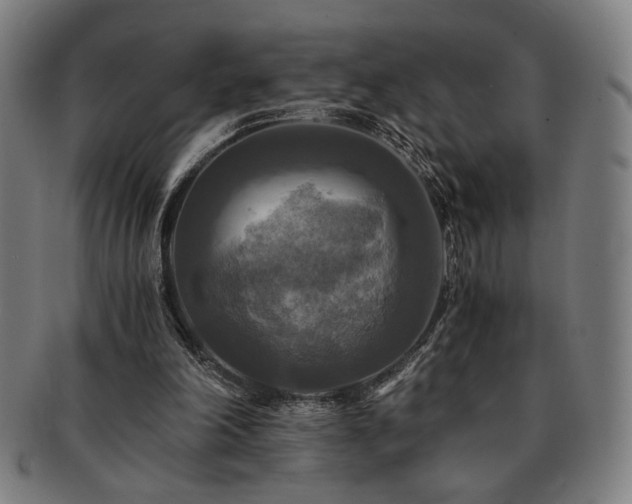 X0000091480198200708231407