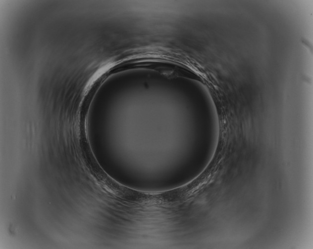 X0000091480200200708231407