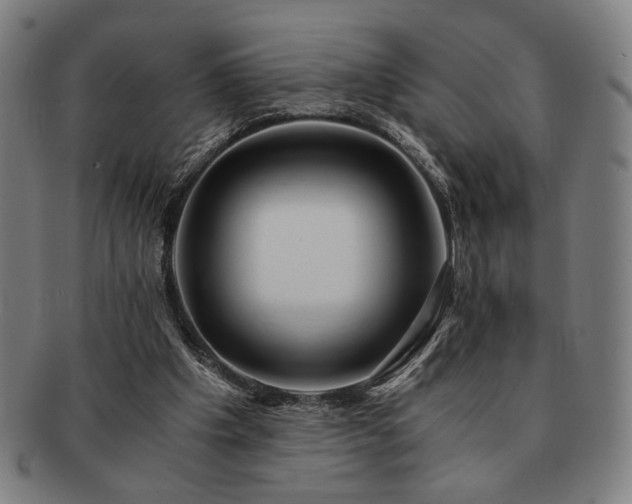 X0000091480201200708231407