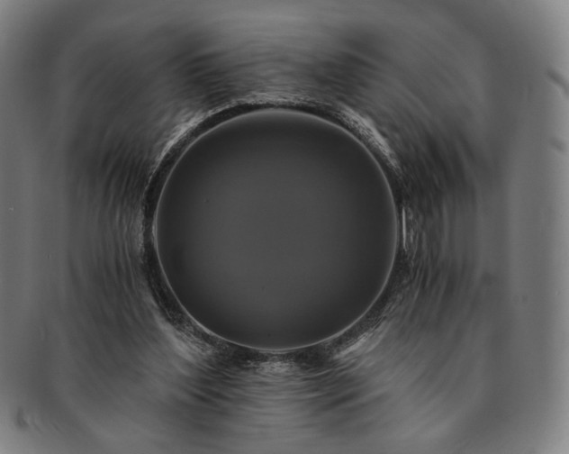 X0000091480204200708231407