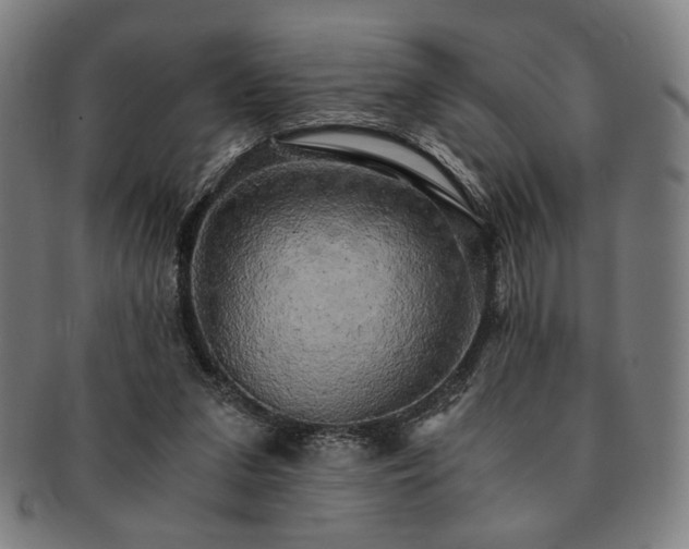 X0000091480207200708231407