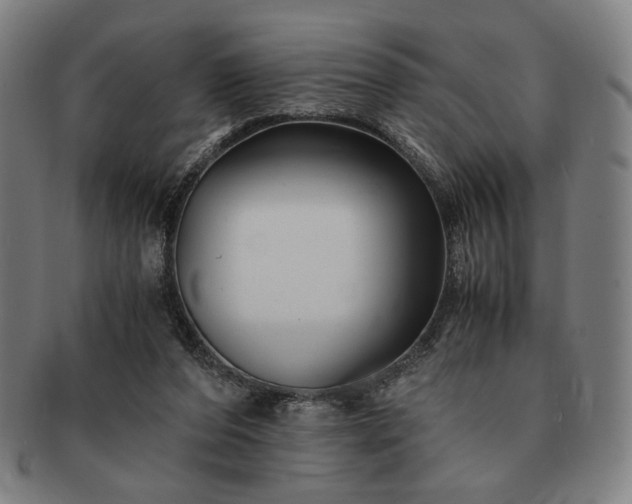 X0000091480208200708231407