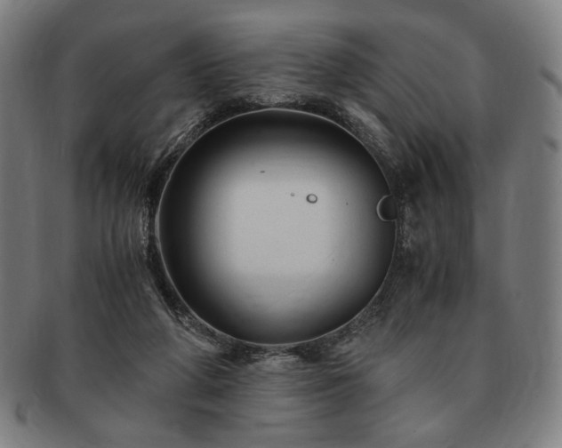 X0000091480210200708231407