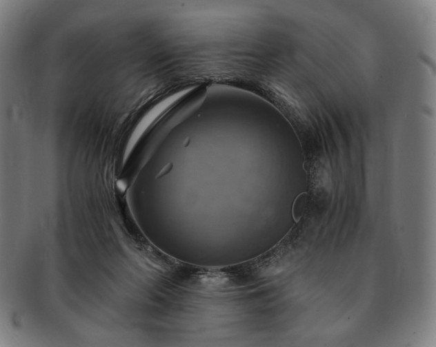 X0000091480214200708231407