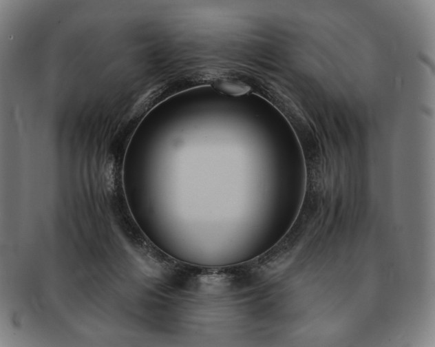 X0000091480216200708231407