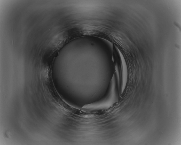 X0000091480219200708231407