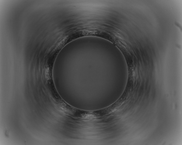 X0000091480224200708231407