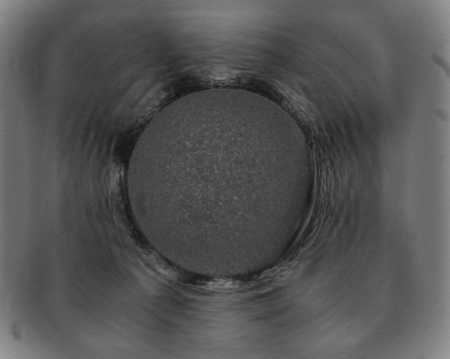 X0000091480225200708231407