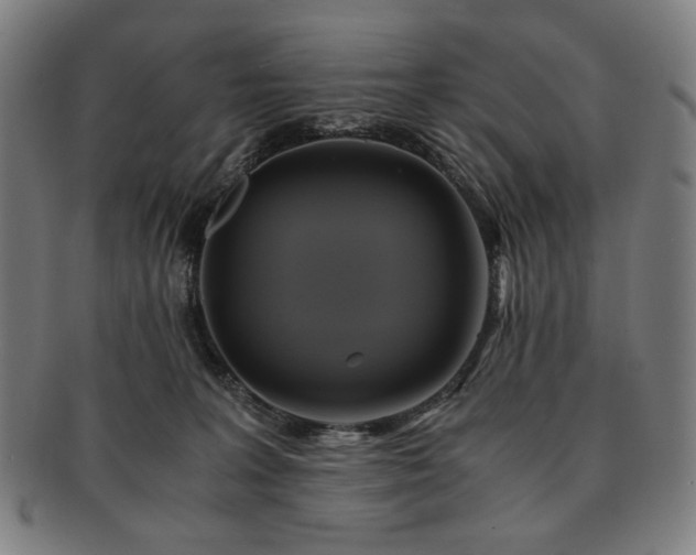 X0000091480227200708231407