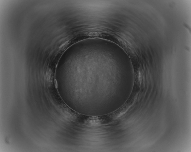 X0000091480228200708231407