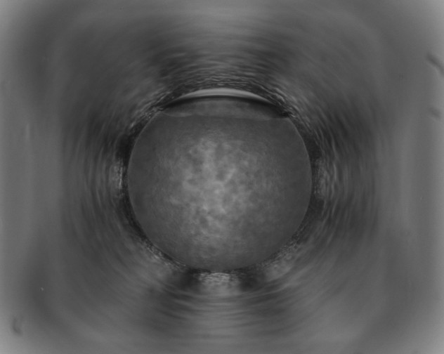 X0000091480230200708231407