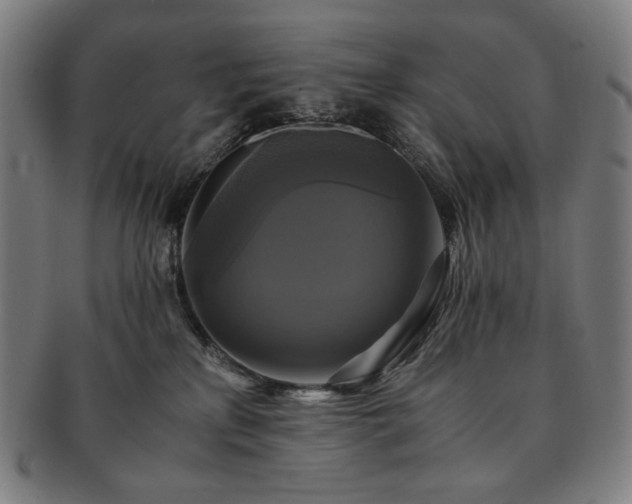 X0000091480233200708231407