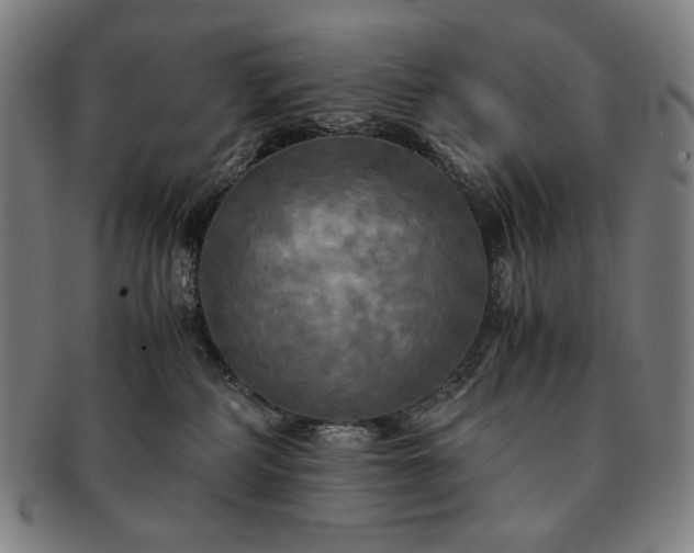 X0000091480234200708231407