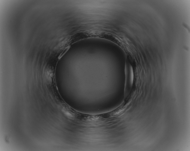 X0000091480235200708231407