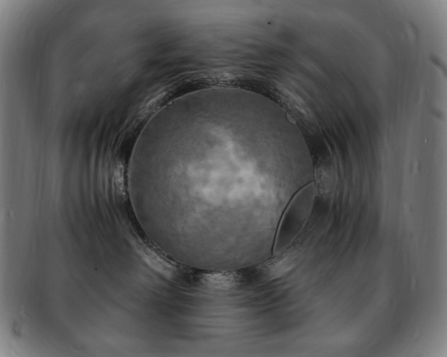 X0000091480238200708231407