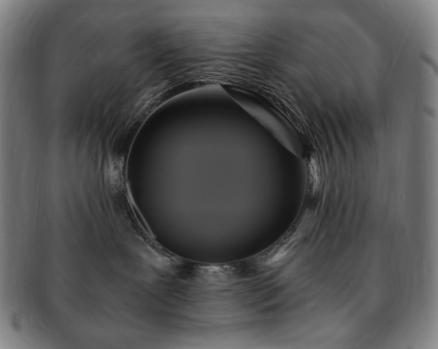 X0000091480239200708231407