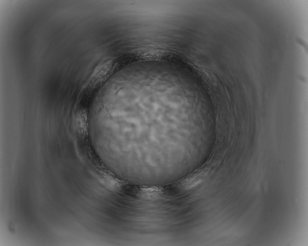 X0000091480240200708231407