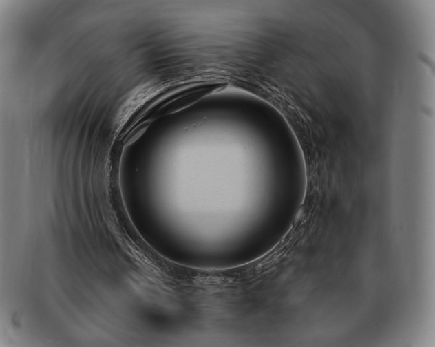 X0000091480242200708231406