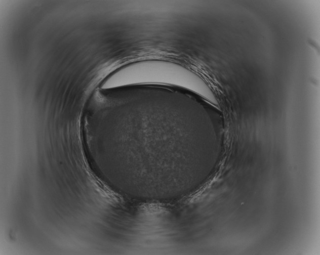 X0000091480244200708231406