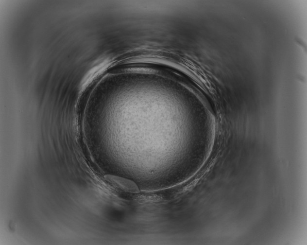 X0000091480245200708231406