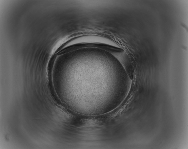 X0000091480246200708231406