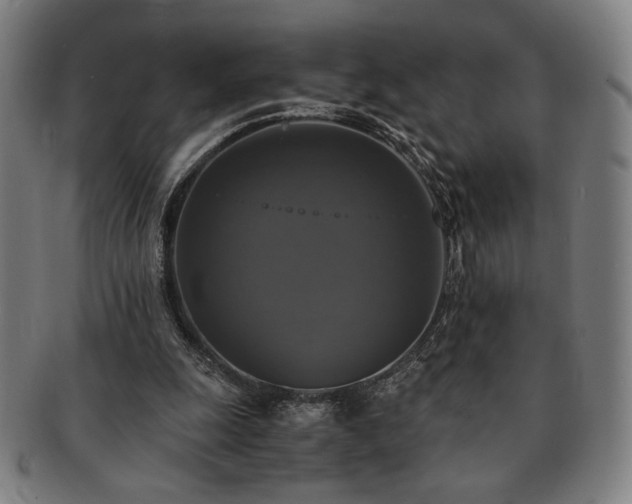 X0000091480247200708231406