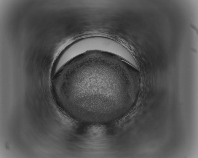 X0000091480248200708231406