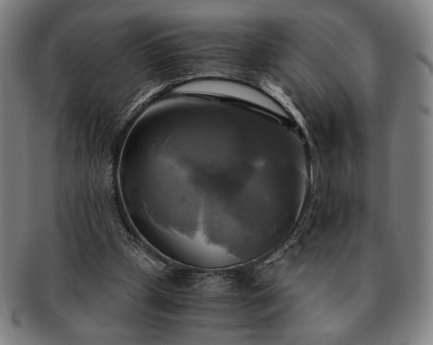 X0000091480249200708231406