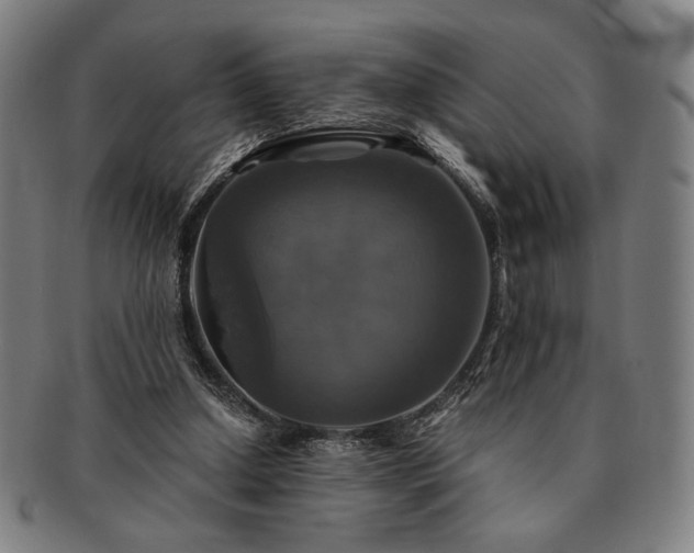 X0000091480250200708231406