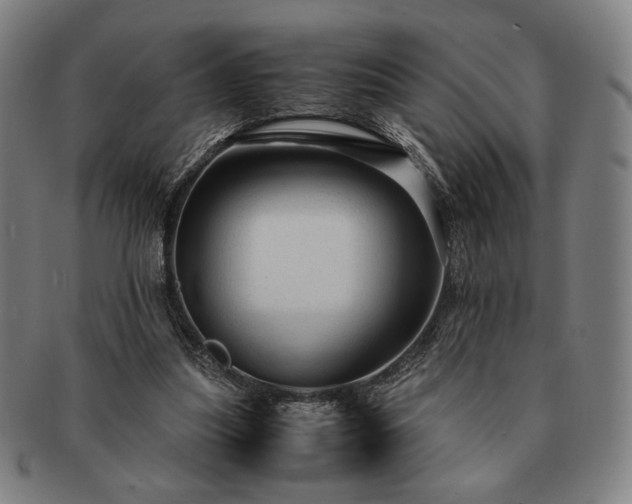 X0000091480251200708231406