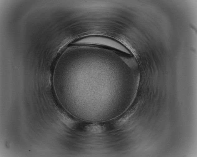 X0000091480253200708231406