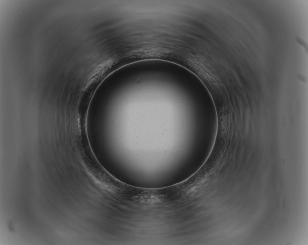 X0000091480254200708231406