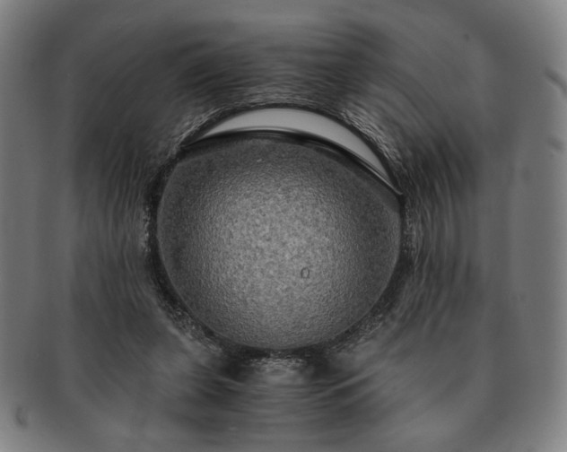 X0000091480255200708231406