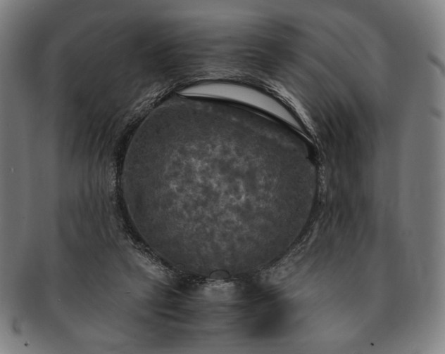 X0000091480257200708231406