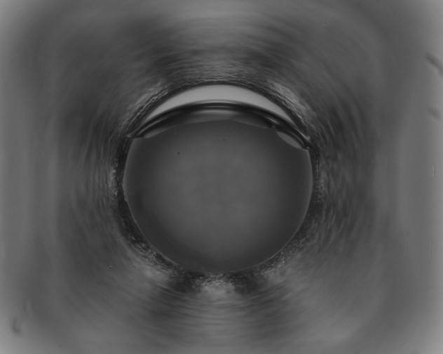 X0000091480258200708231406